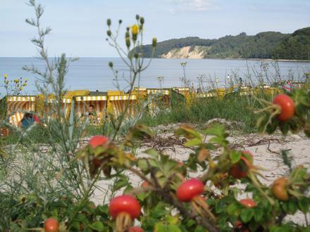 Binz (Rügen) Image