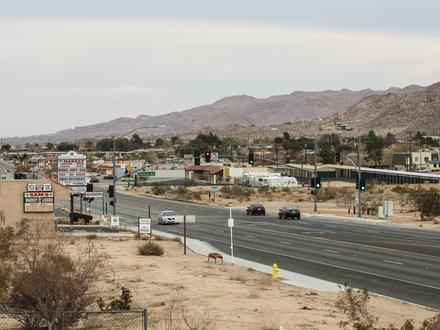 Joshua Tree Image