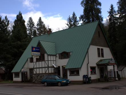McKenzie Bridge Image