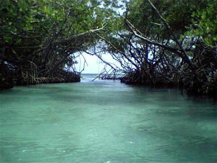 Lajas Image