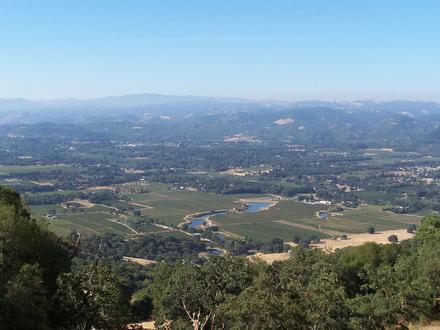 Redwood Valley Image