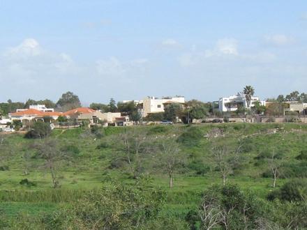 Zdjęcie dla: Udim