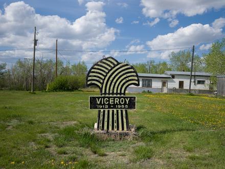 Viceroy Image