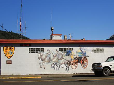 Morton Image