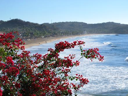 Zipolite Image