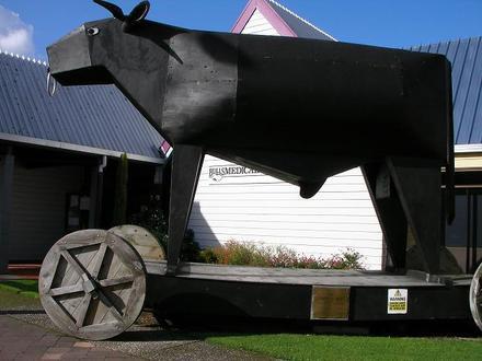 Bulls Image