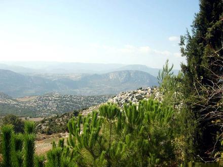 İnsu Image