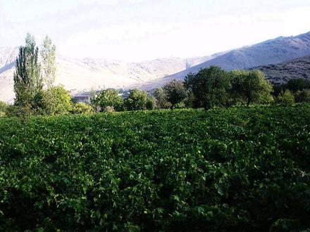 Hazaveh Image
