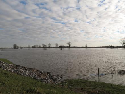 Image de Appeltern