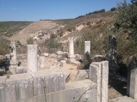 Jīsh Image