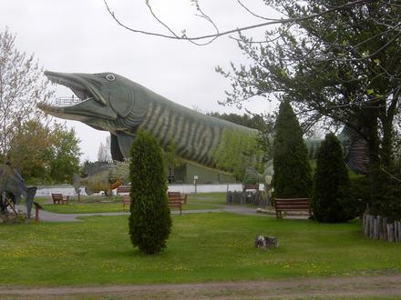 Hayward, Wisconsin Image