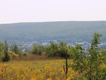 Mount Carmel Image