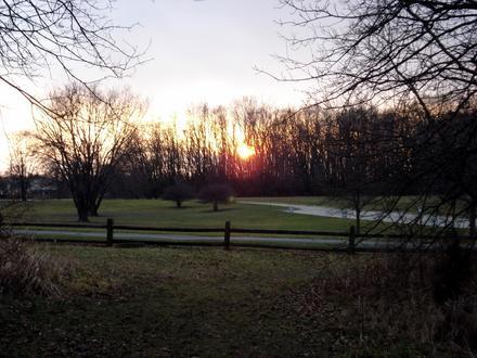 Palatine Image