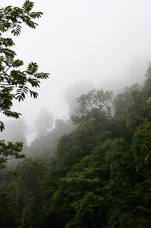 Santiago Comaltepec Image