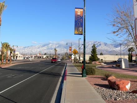 Mesquite Image