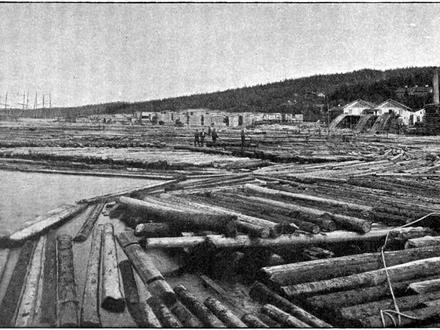 Tunadal Image