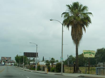 Rosemead Image