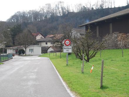 Immagine Mellikon