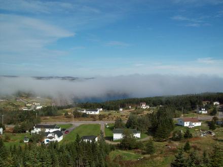 Caplin Cove Image