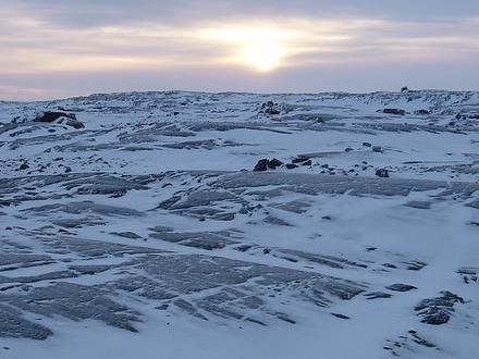 Whale Cove Image