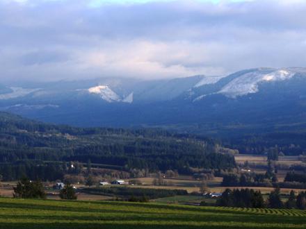 Holley Image