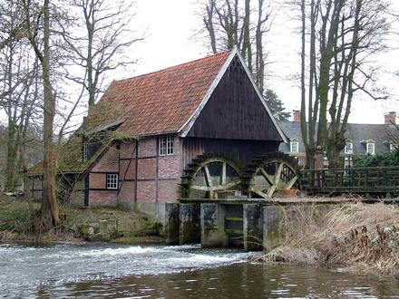 Lage (Dinkel) Image