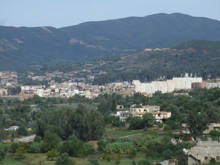 Tamalous Image