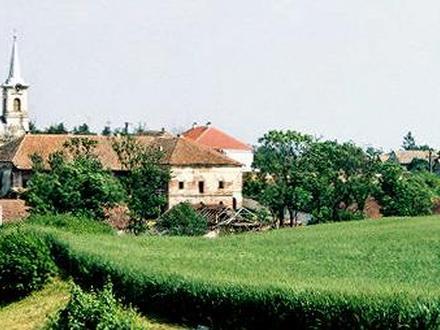Sânandrei Image
