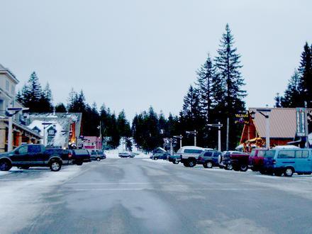 Government Camp Image