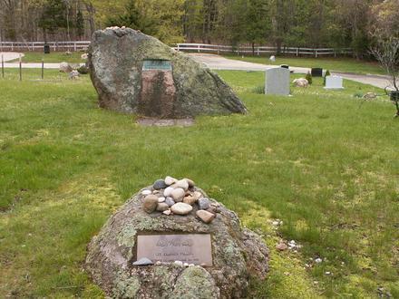 Springs Image