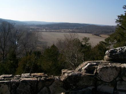 Bloomsdale Image