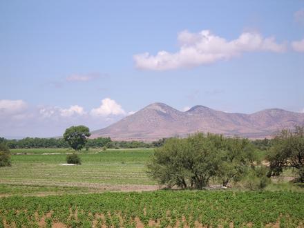 Fresnillo de González Echeverría Image