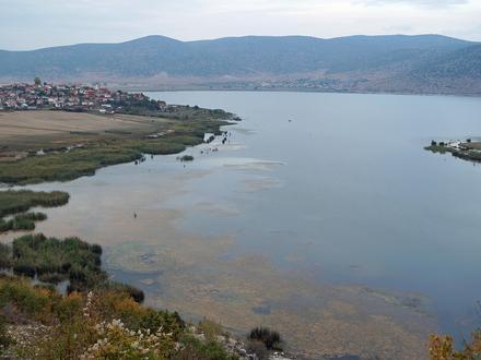 Gorica e Vogël Image