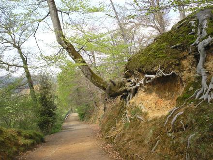 Imatge de Pau (Occitània) Imatge de Pau (Occitània)