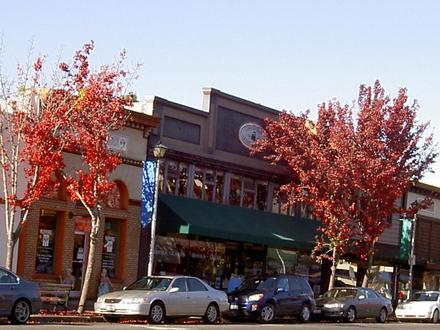 Sebastopol Image