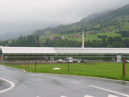 Frutigen Image
