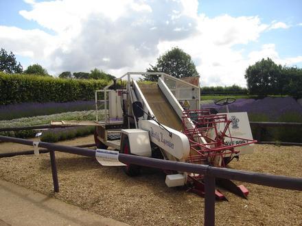 Heacham Image