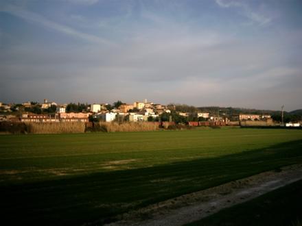 科莱萨尔韦蒂 Image