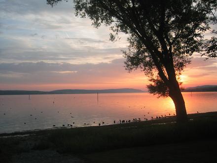 Allensbach Image