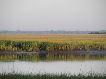 Edisto Island Image