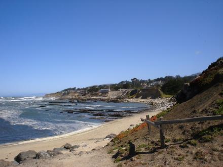 Bilde av Moss Beach