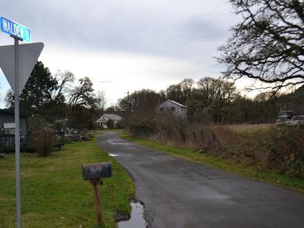 Walden Image