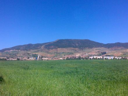 El Amra Image