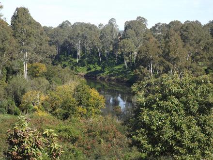 North Ipswich Image