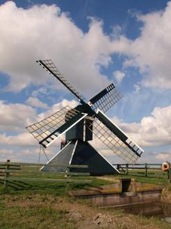 Goutum Image