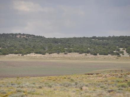 Fence Lake Image
