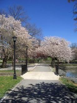 Millersville Image