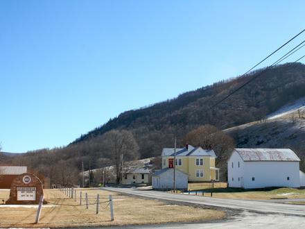 Blue Grass Image