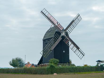 Image of Eimersleben