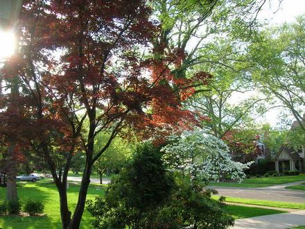 Bexley, Ohio Image